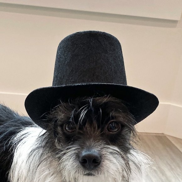 Pet Black Top Hat – Fits Small/Medium Pets (Dogs etc) - Picture 5 of 7